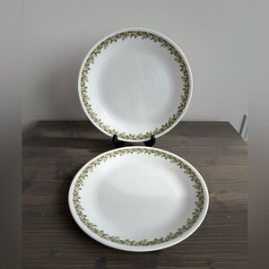 2 x vintage CORELLE Spring blossom crazy daisy dinner plates